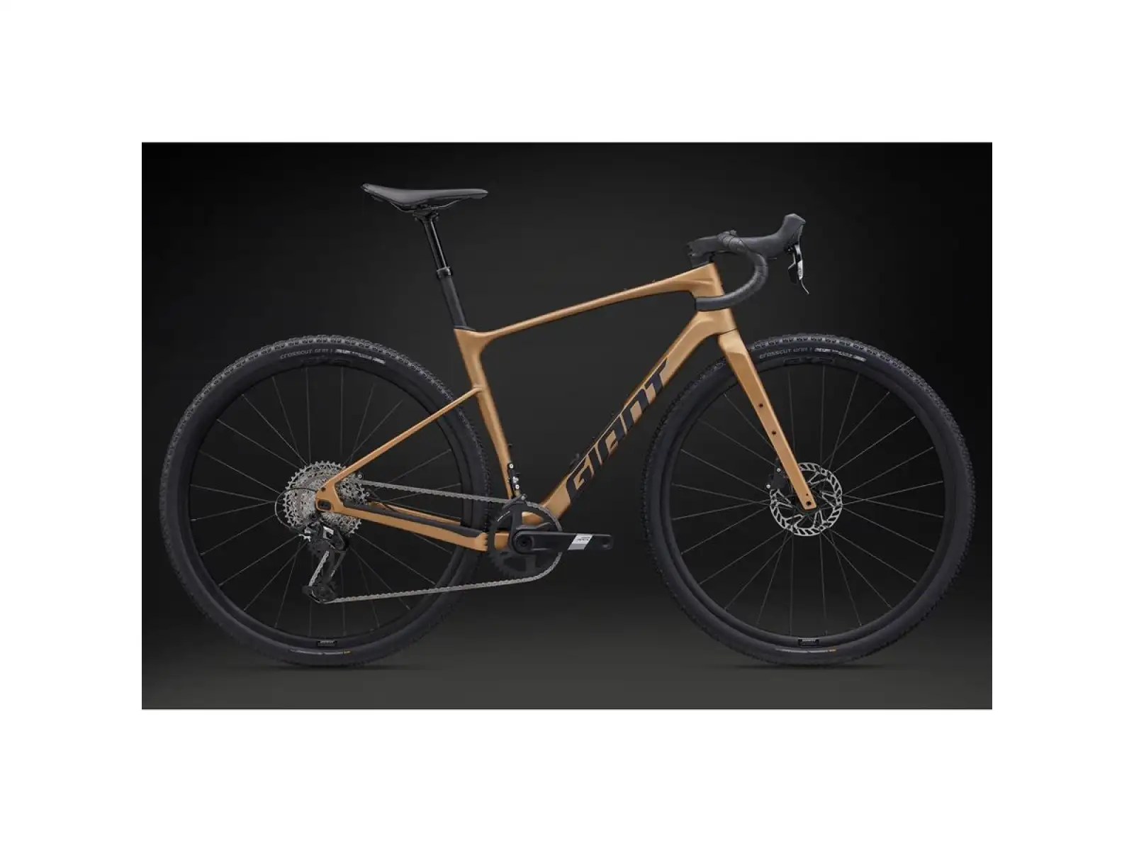 Giant Revolt Advanced 1 Gravel Fahrrad Steampunk