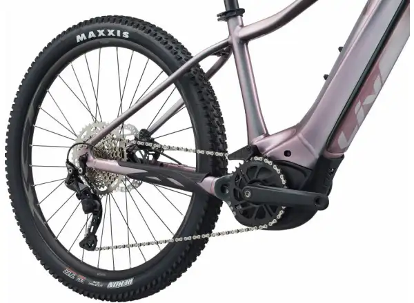 Liv Vall-E+ 2 29 Echeveria 2022 Damen E-Mountainbike