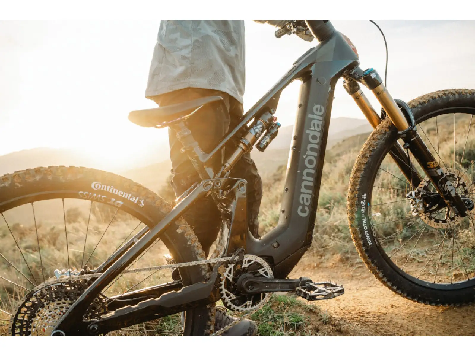 Cannondale Moterra Carbon 1 vollgefederte Elektrofahrrad mattschwarz (BBQ) GEPRÜFT