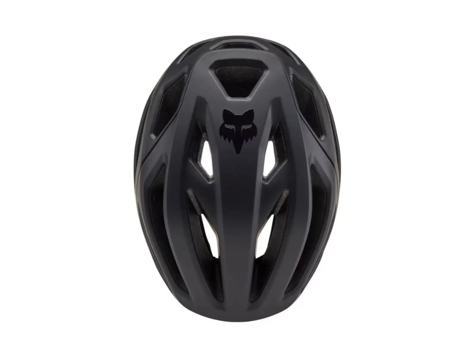 Fox Crossframe Pro Helm Matte Black