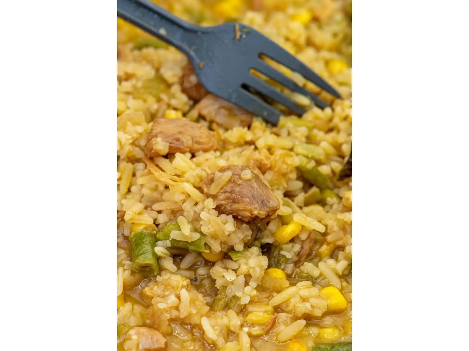 Summit To Eat dehydriertes Essen Gebratener Reis mit Hähnchen und Teriyaki-Sauce 121 g