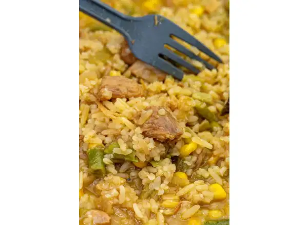 Summit To Eat dehydriertes Essen Gebratener Reis mit Hähnchen und Teriyaki-Sauce 121 g