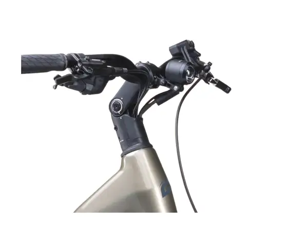 Crussis e-Country AX 8.12-M2(600) City E-Bike