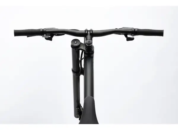 Cannondale Bad Boy 2 BBQ Urbanbike