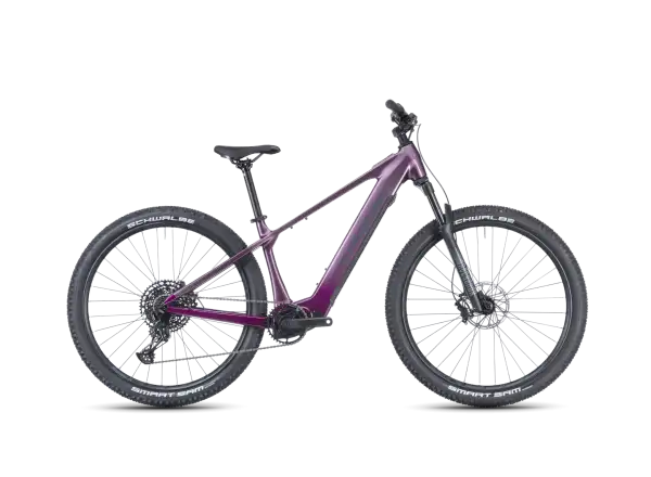 Crussis e-Fionna AX 9.12-M2S(600) Mountain-E-Bike