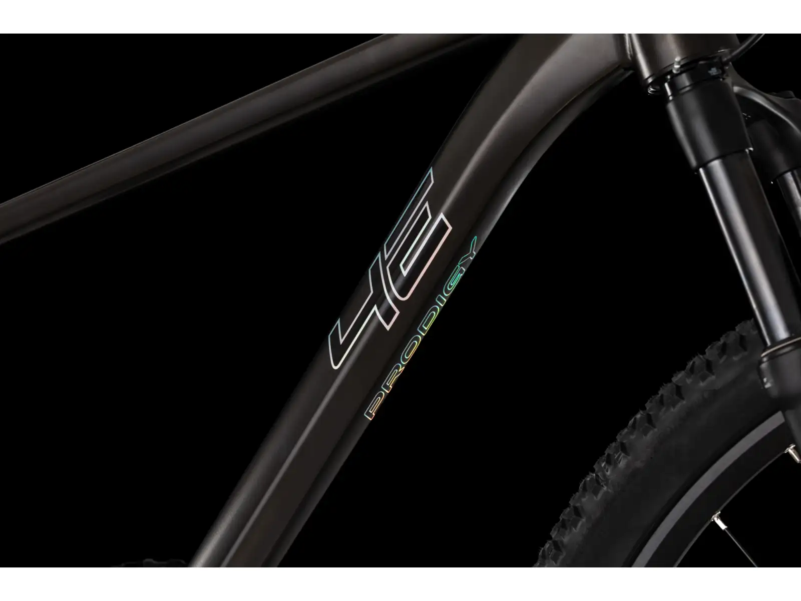 4Ever Prodigy Race 29" Mountainbike Black/hologram