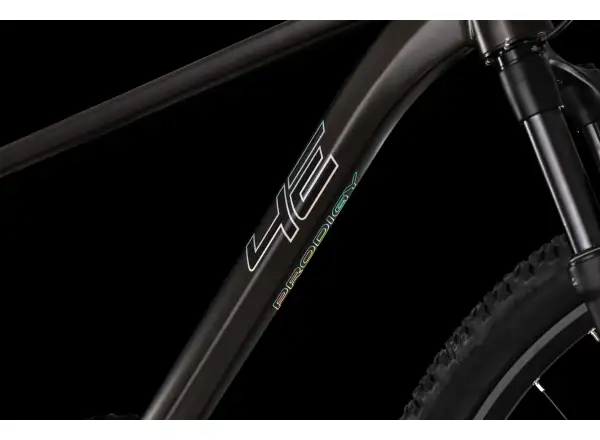 4Ever Prodigy Race 29" Mountainbike Black/hologram