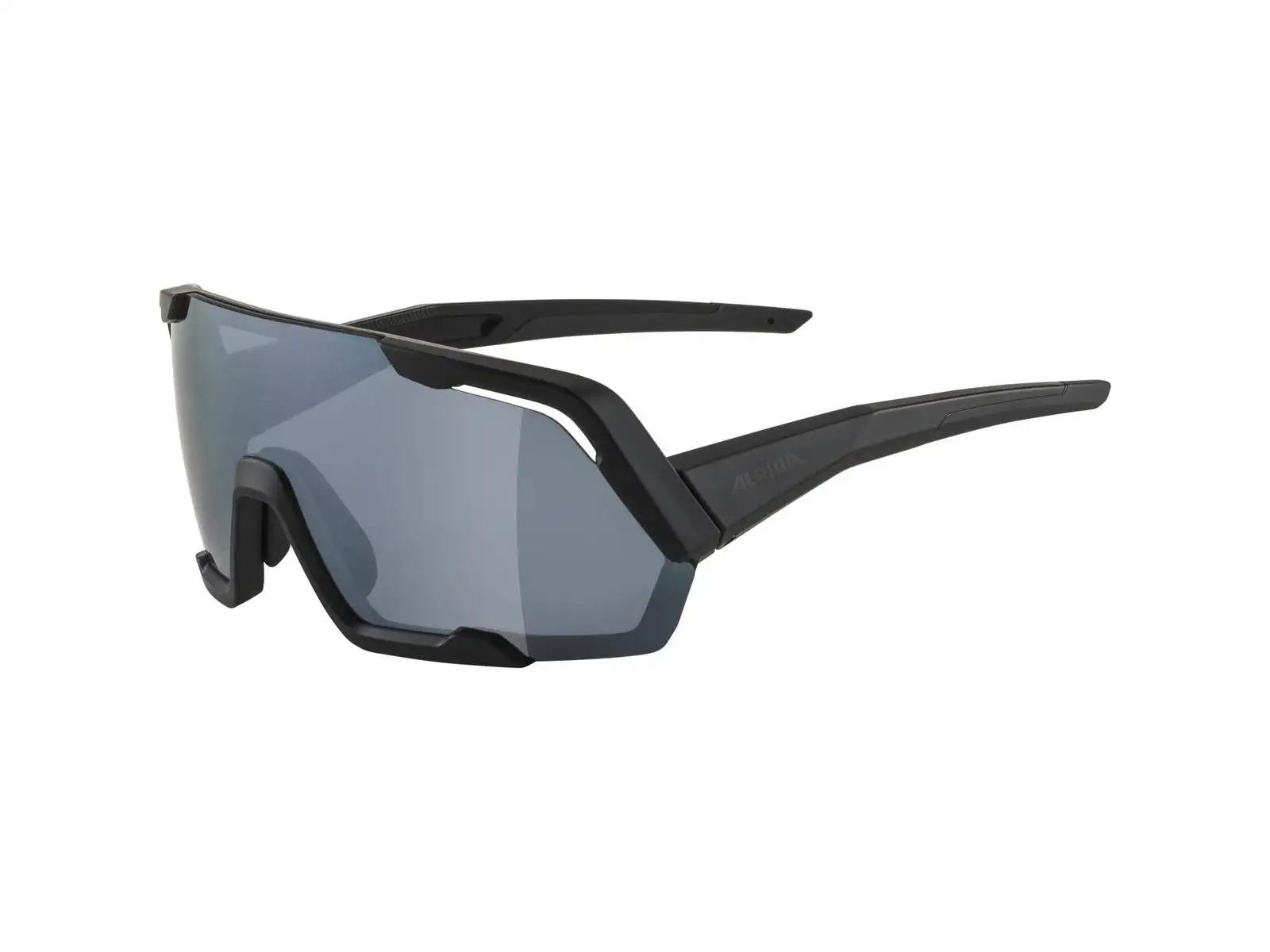 Alpina Rocket Brille All Black Matt