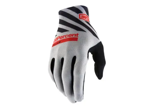 100% Celium Herrenhandschuhe Grau
