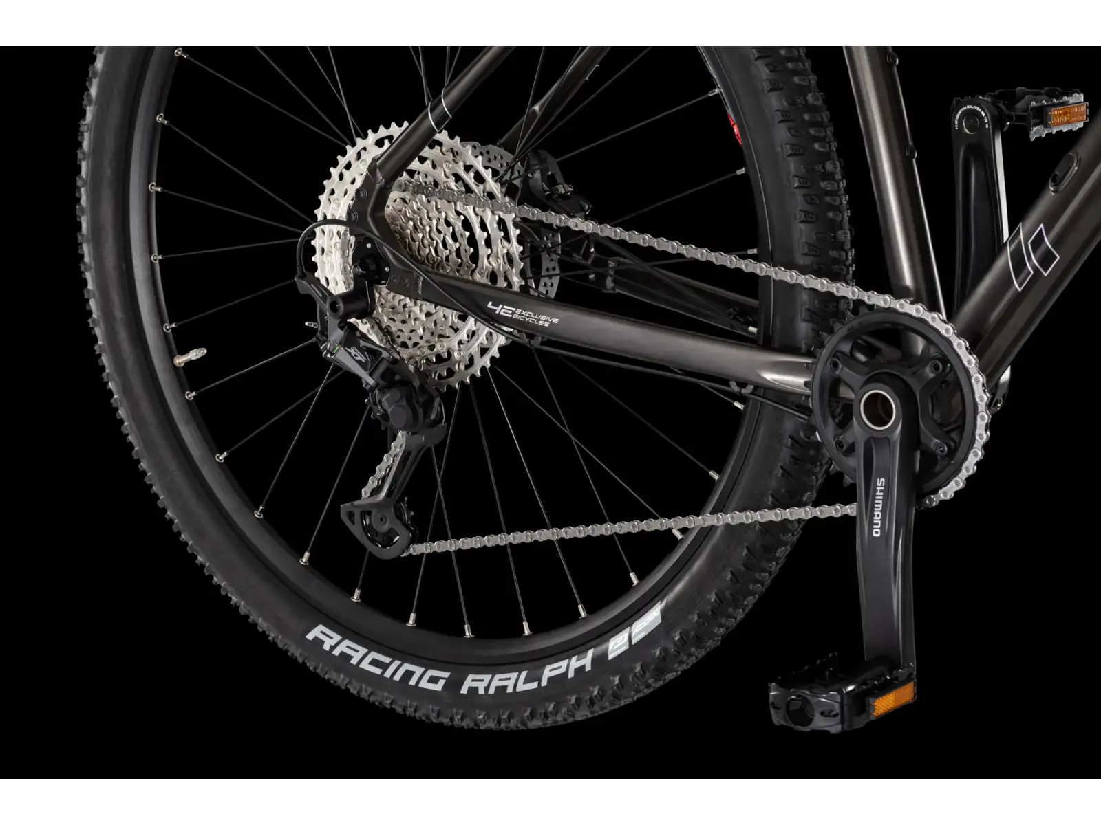 4Ever Prodigy Race 29" Mountainbike Black/hologram