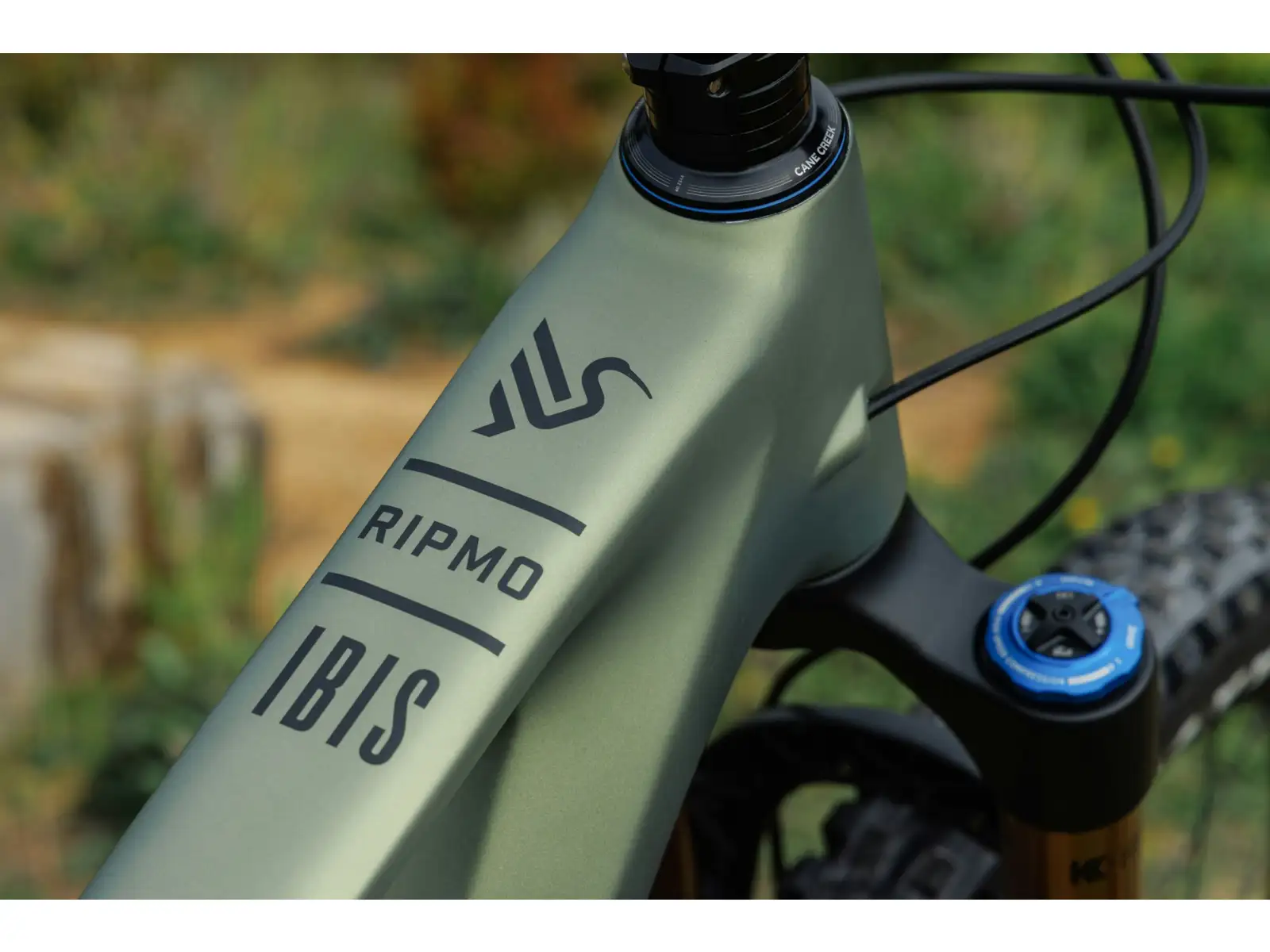 Ibis Ripmo V3 GX Eagle AXS Mountainbike Olive Swamp Monster