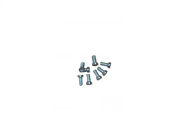 Leonardi Factory Kit Torx M4x10 Schrauben für den Umwerfer