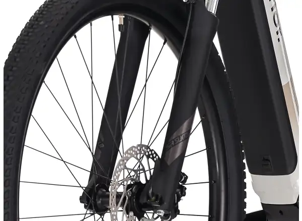 Superior eXC 6.2 elektrisches Mountainbike Gloss Dust
