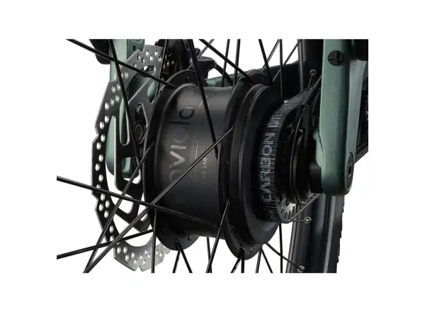 Giant Explore E+ 2 STA Trekking-E-Bike Alpine Green
