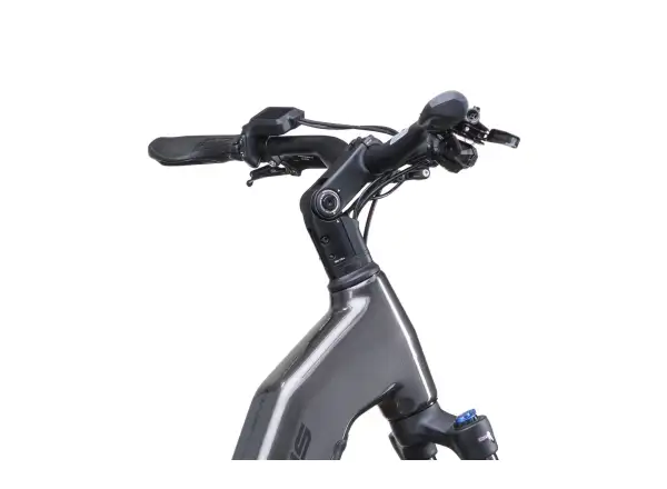 Crussis ONE-Country AX 8.12-M2(600) City-E-Bike