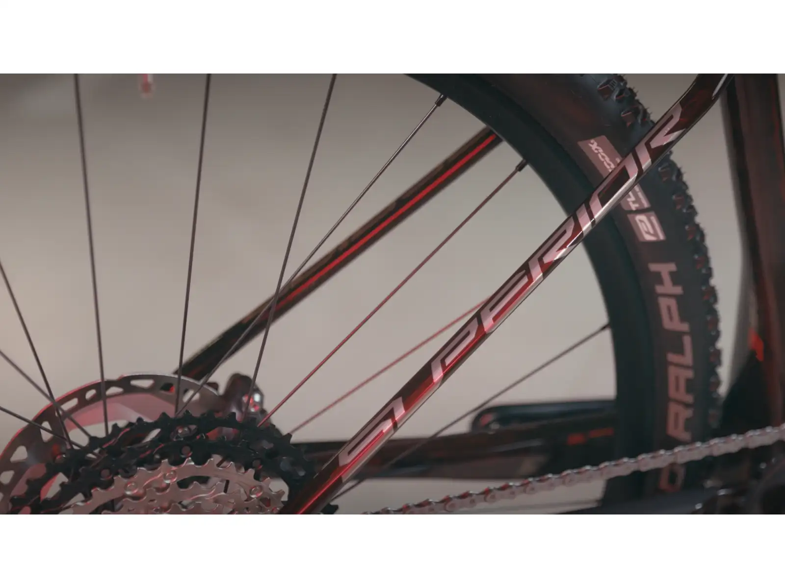 Superior Team 29 Elite Gloss Red Carbon/Chrome Mountainbike