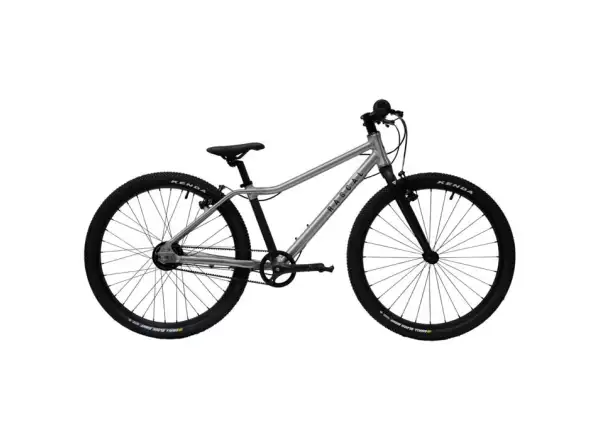 Rascal 24 3 sp. Shimano Nexus Kinderfahrrad Titan