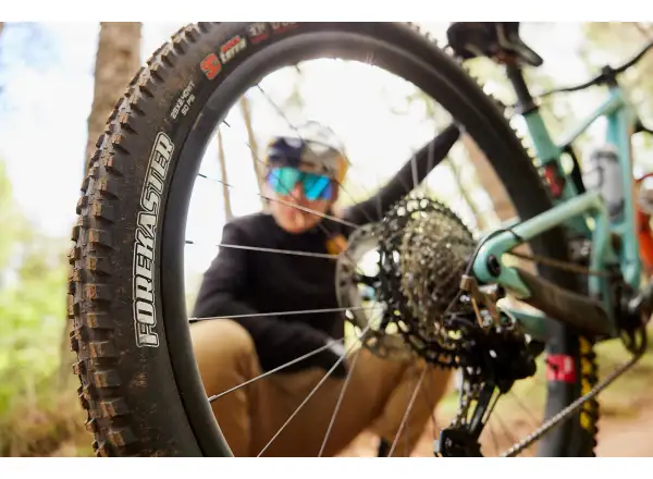 Maxxis Forekaster MaxxTerra/Exo+/TR 29x2,60" MTB Reifen Kevlar