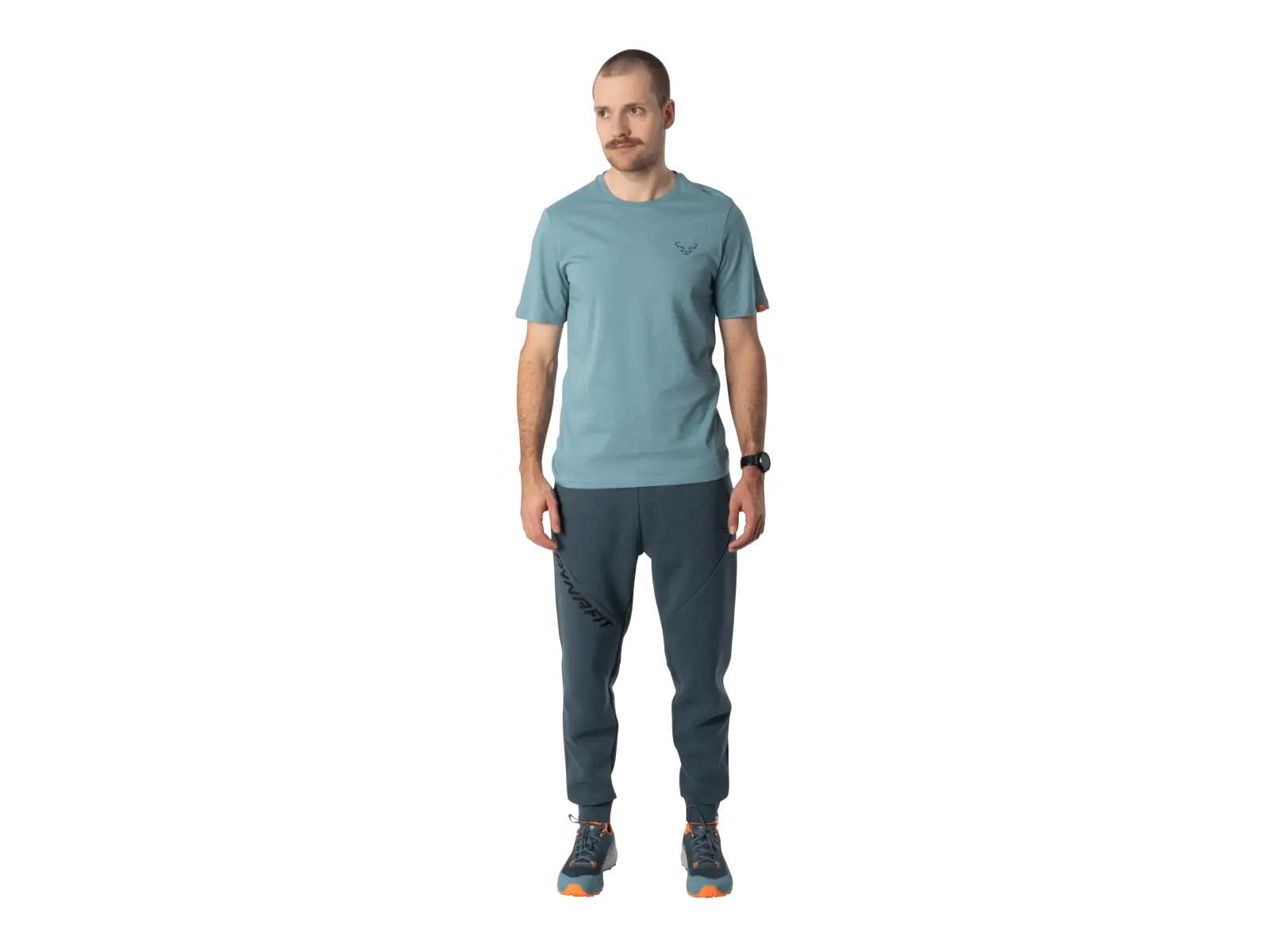 Dynafit Back Graphic Cotton Herren T-Shirt Kurzarm Smoke Blue/Approach