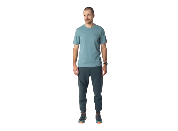 Dynafit Back Graphic Cotton Herren T-Shirt Kurzarm Smoke Blue/Approach