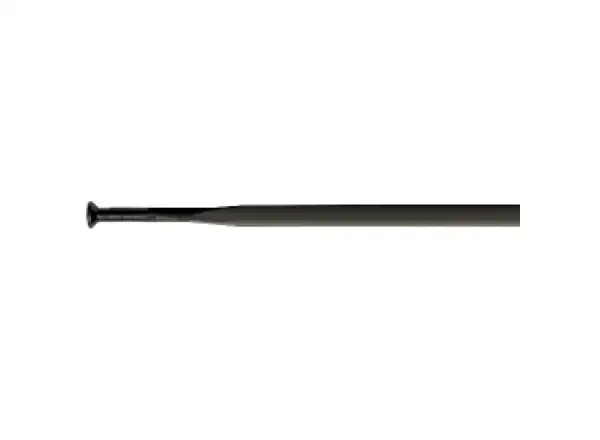 DT Swiss Aerolite 2,0/2,3/2,0 Straight Pull Speiche Schwarz