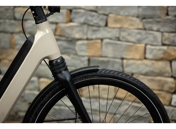 Superior eWAY 6.45 City E-Bike Gloss Dust