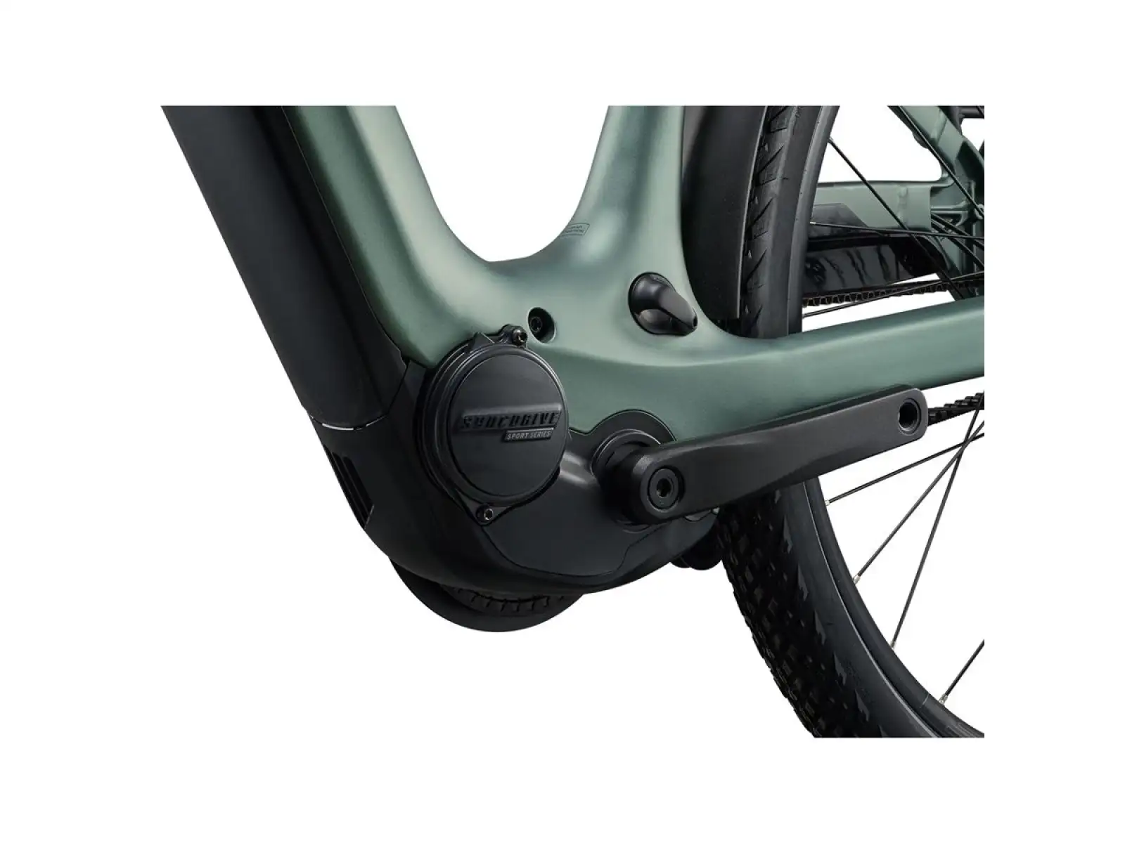Giant Explore E+ 2 DD Trekking-E-Bike Alpine Green