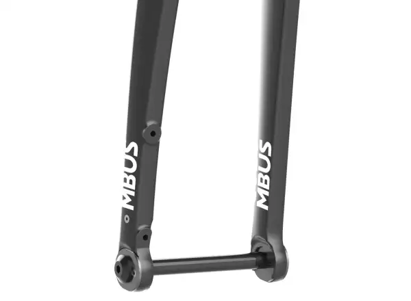 Columbus Futura Cross+ feste Carbon-Gabel.