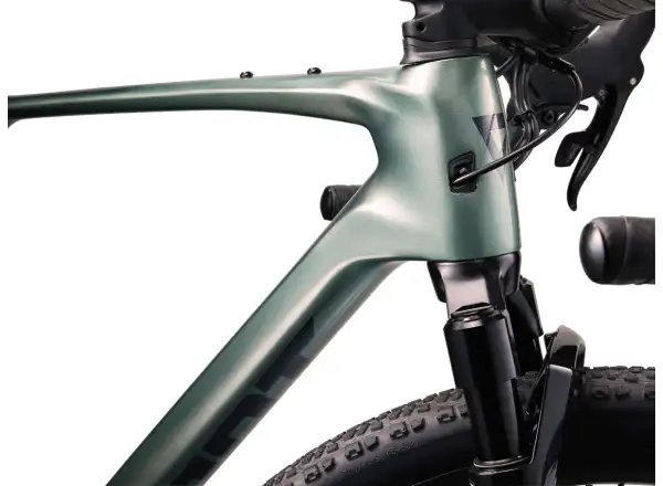 Giant Revolt X Advanced Pro 2 Schotterrad Nebelwald