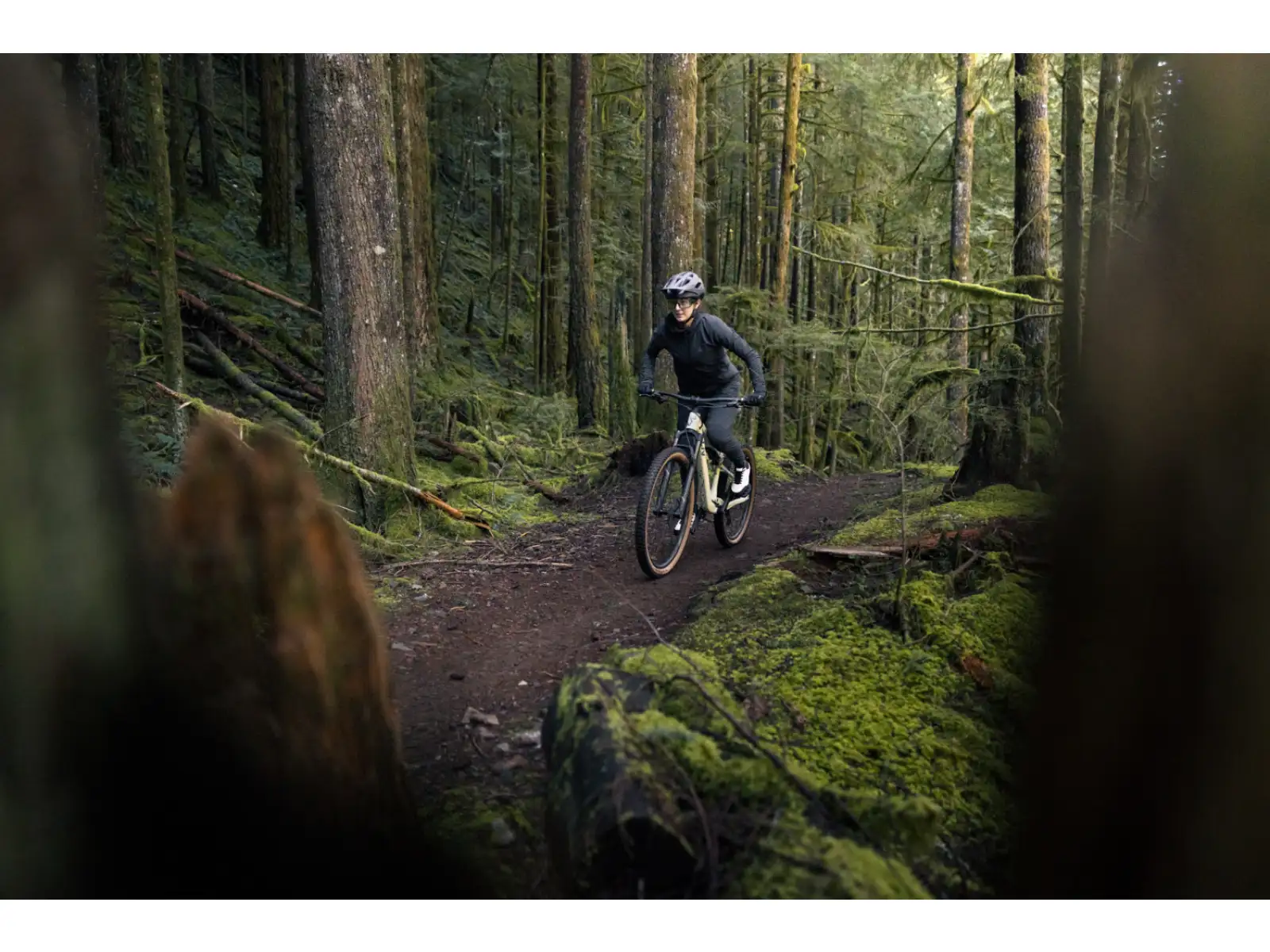 Liv Embolden 2026 Mountainbike Pale Moss