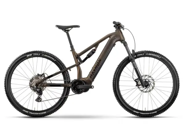Raymon Trailray 120 Pro E-Bike Tenmokubrown