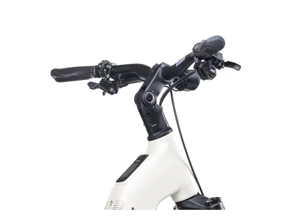 Crussis e-Country AX 10.12-M2(800) City E-Bike
