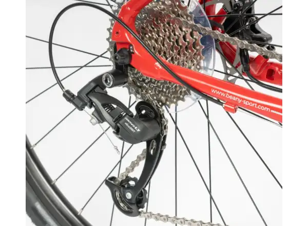 Beany Zero 29 Kinderfahrrad Red