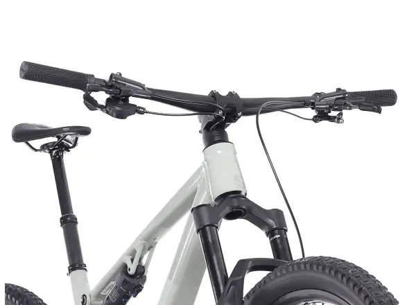 Superior XF 6.6 DC Mountainbike Matte Green Grey