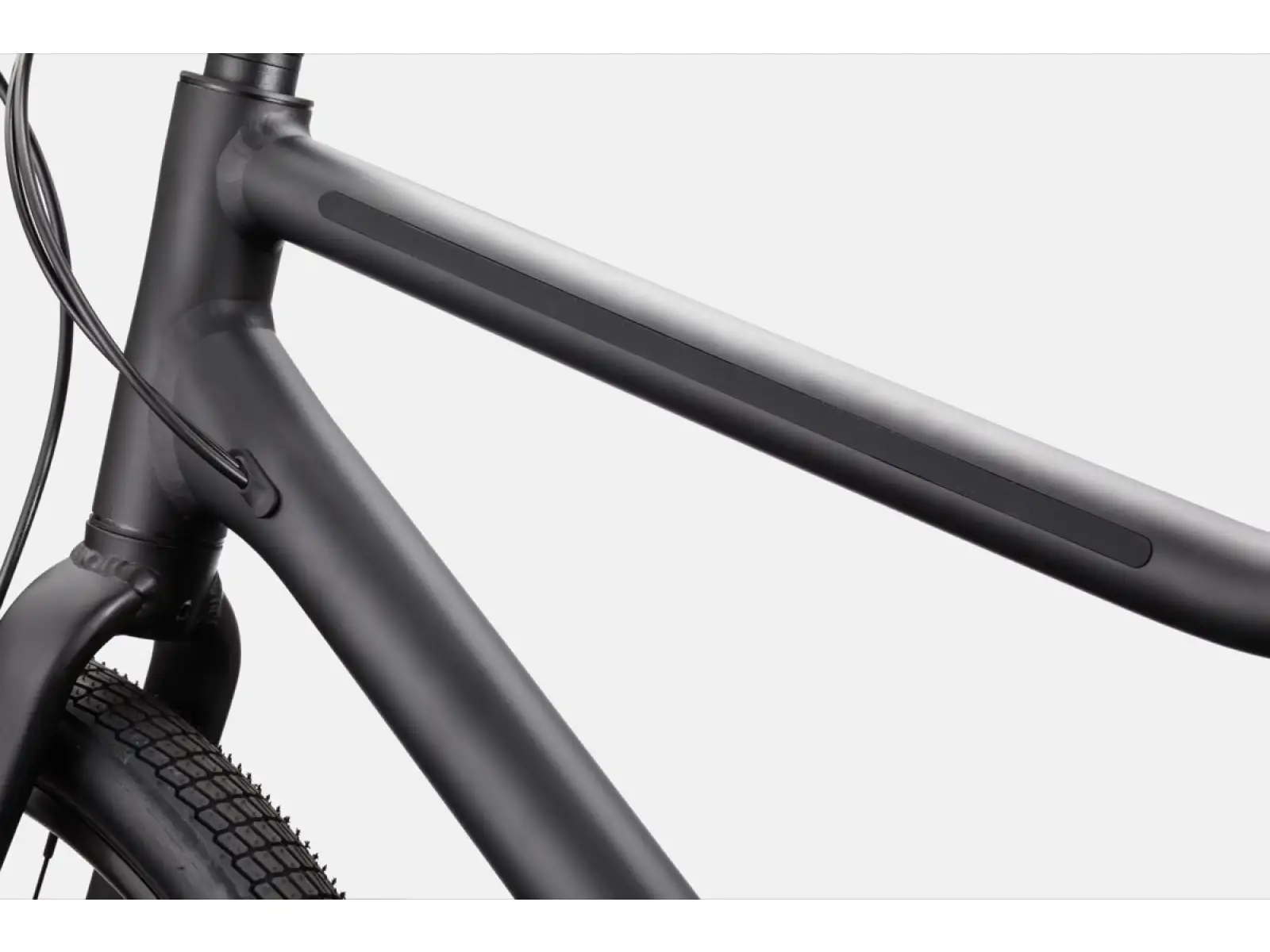 Cannondale Treadwell 2 Ltd RAW Fitnessbike