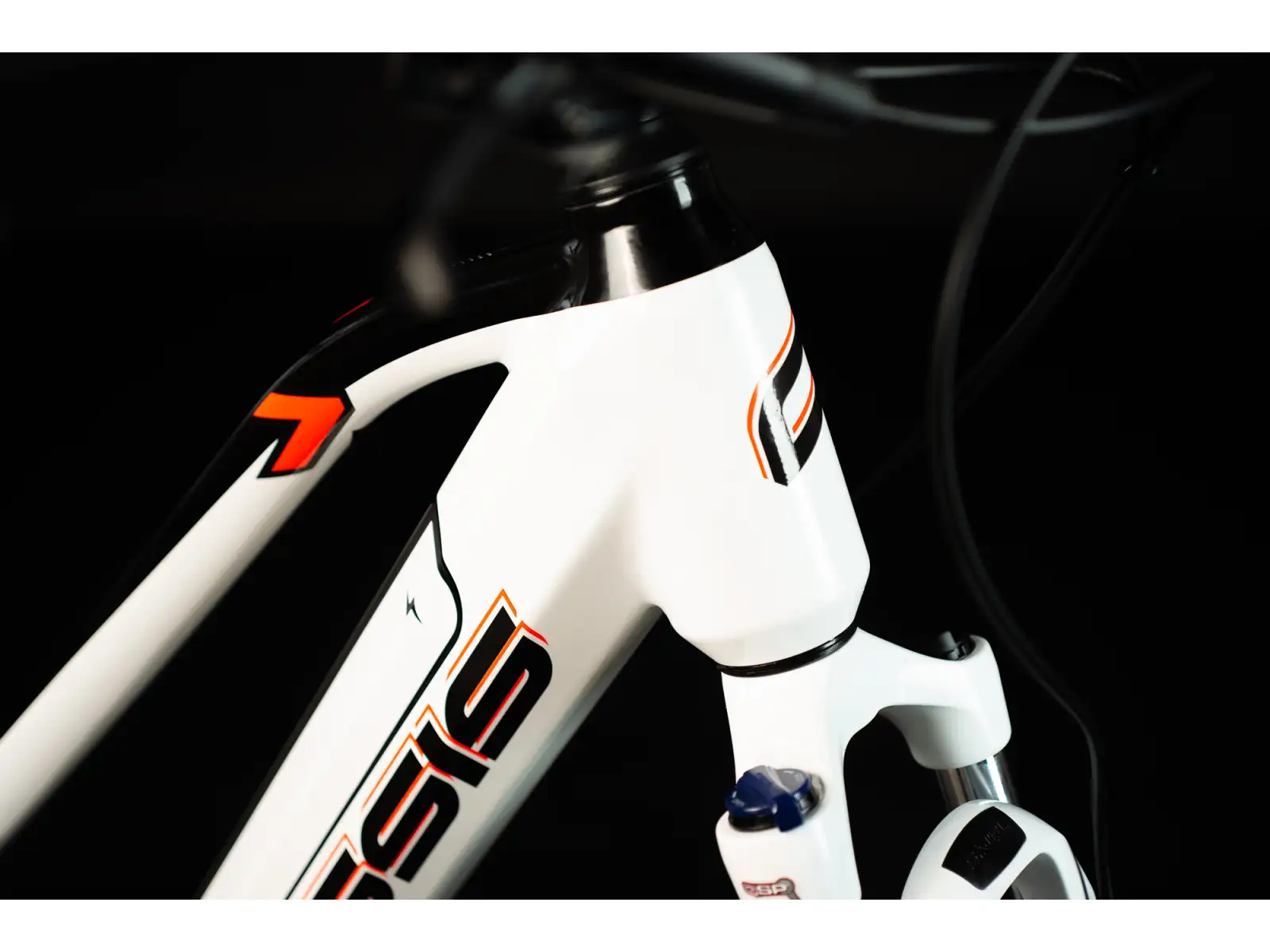 Crussis e-Cross low 7.8-M ist ein Elektro-Mountainbike.