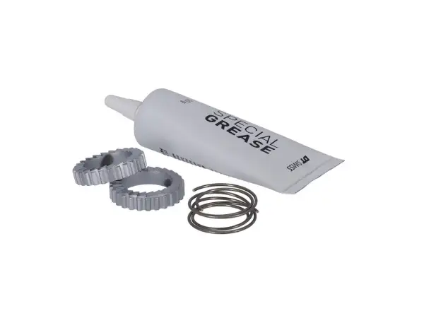 DT Swiss Ratchet Service Kit 24 Zähne für Hügi 240/FR/240S/440