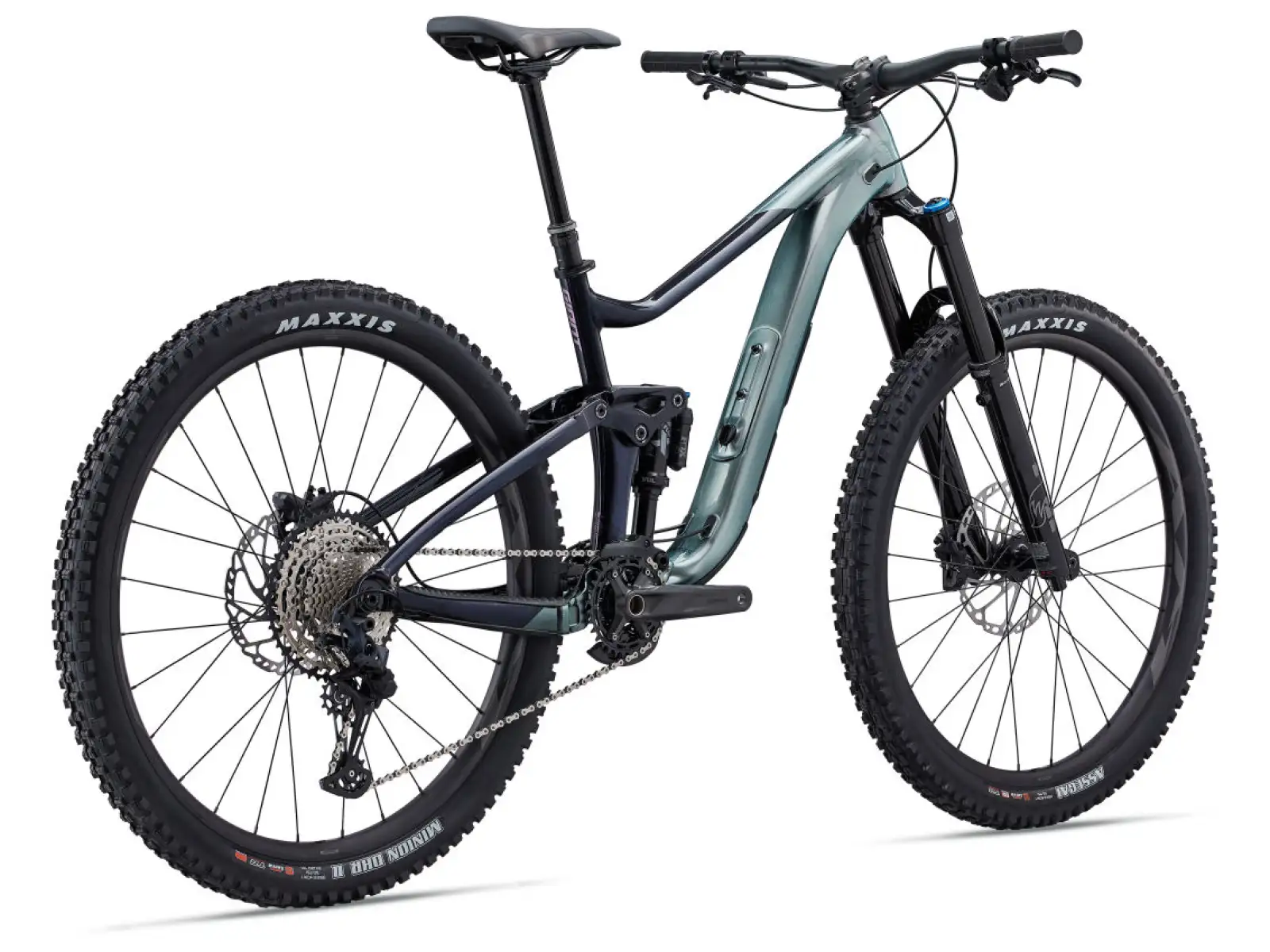 Giant Reign 1 Mountainbike Airglow/Kalte Nacht