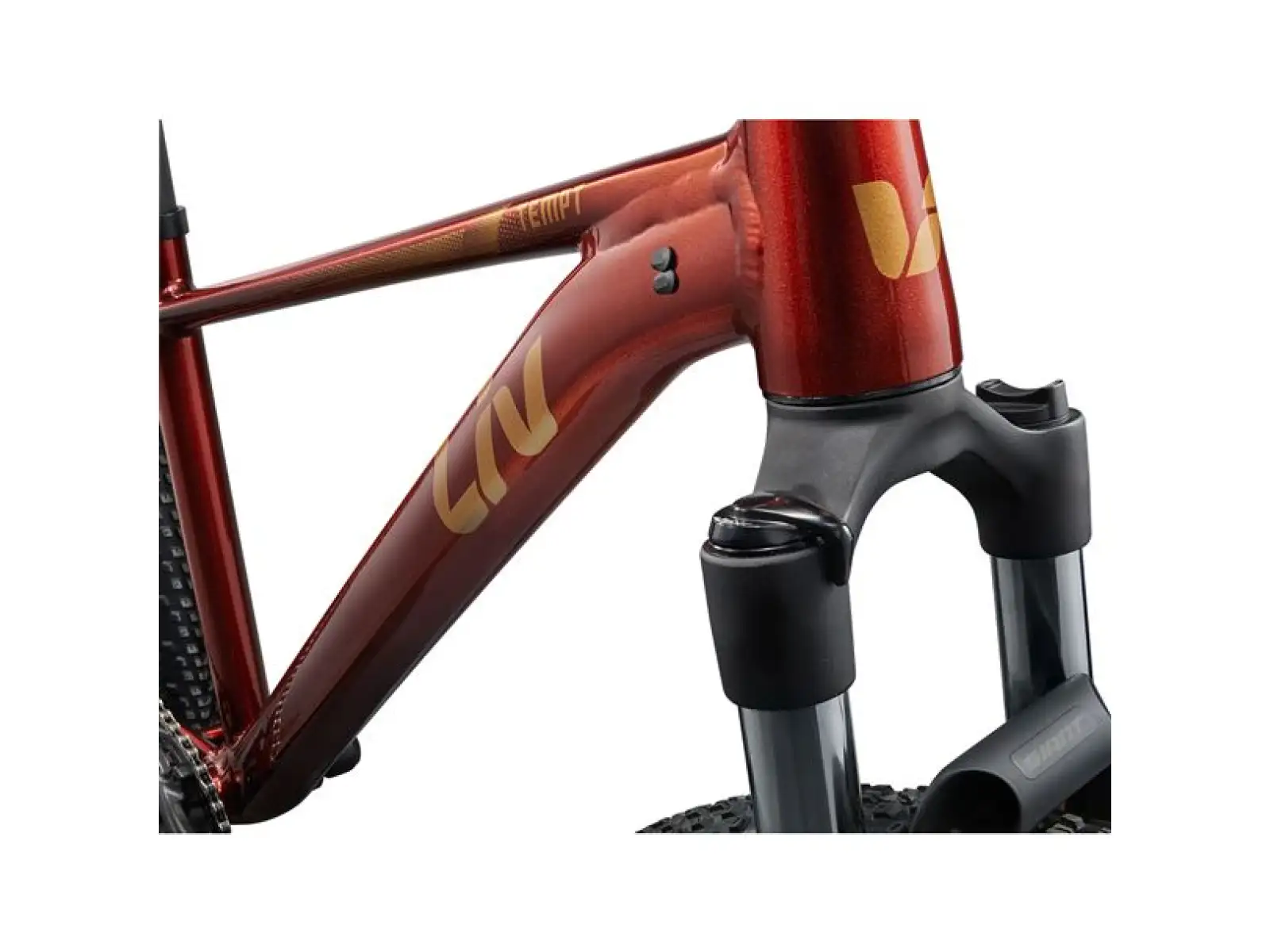 Giant Tempt 29 2 Mountainbike Mars Dust