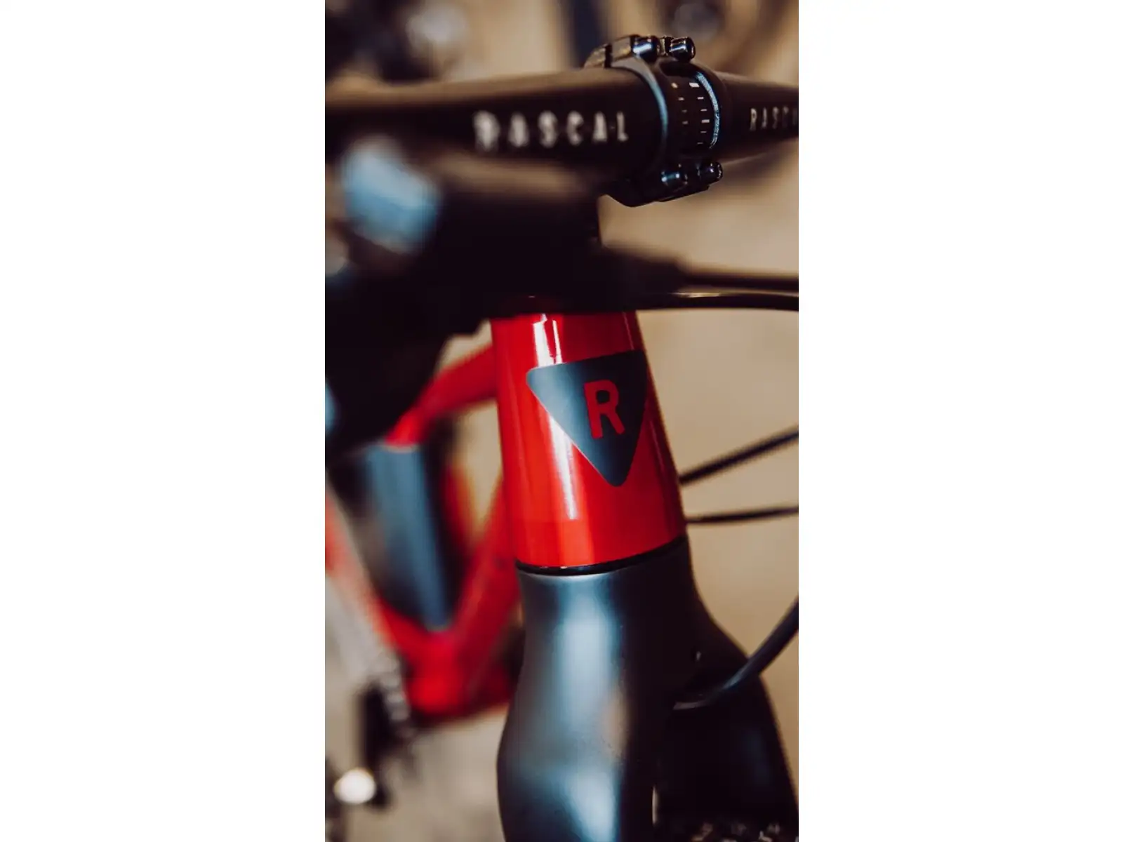 Rascal Wild 20 Kinderfahrrad Ruby Red