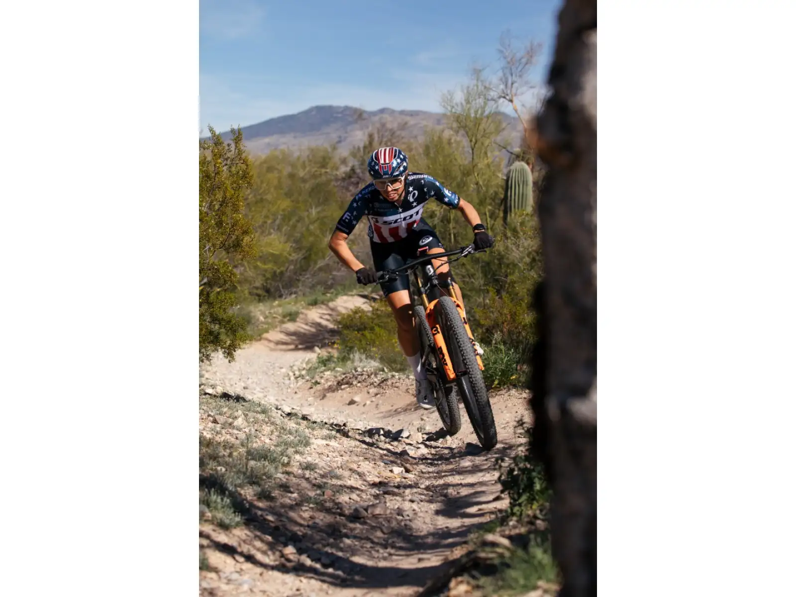 Kenda K-Series Dagger XC, TR 29x2,40" MTB Reifen Kevlar braun
