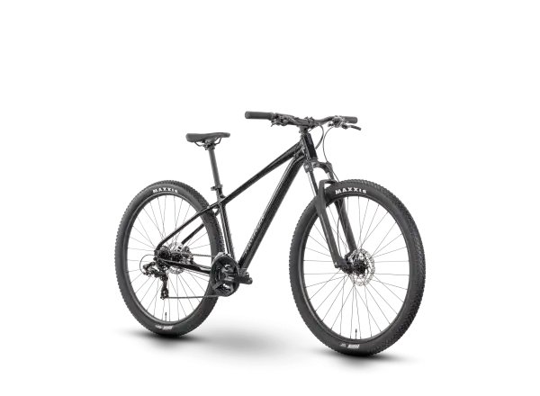 Raymon Nayta 29" Mountainbike Black/Iredesciant Black