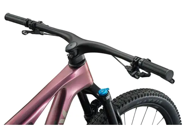 Liv Pique X Advanced SL 3 Mountainbike Mechanic Rose/Carbon