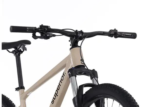 Superior XC 6.1 Mountainbike Gloss Dust