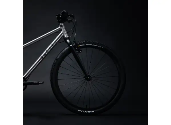 Rascal 24 5 sp. Sturmey Archer Kinderfahrrad Titan