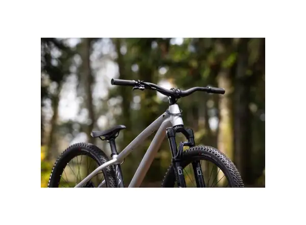 Giant STP 26 Dirtbike Brush Aluminum