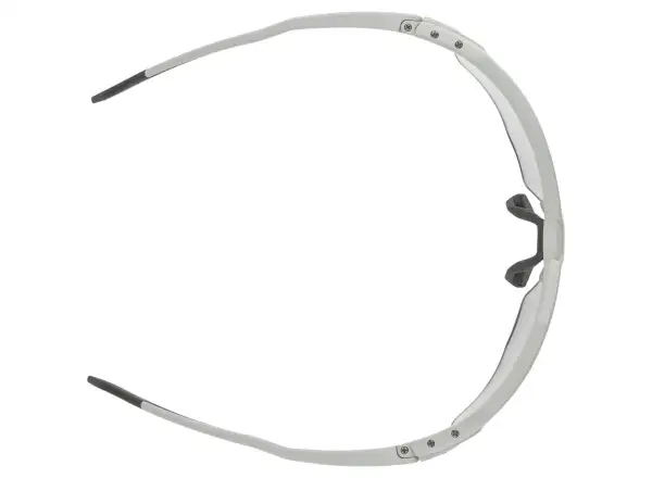 Alpina Twist Six S HR V Brille Smoke Grey Matt