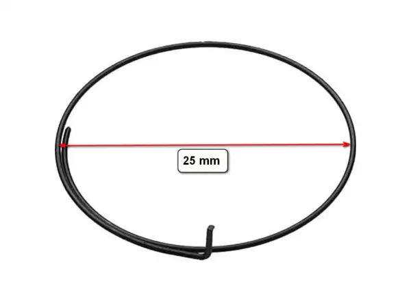 Campagnolo Freilauf-Federnsegment für Laufräder.
