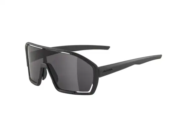Alpina Bonfire Brille All Black Matt