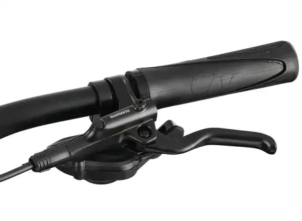 Liv Rove 1 DD Damen-Trekkingrad Dark Eclipse